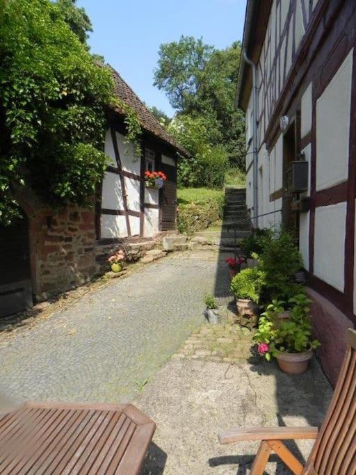 Ferienwohnung Tiererlebnishof Obermuehle Biebergemund 外观 照片